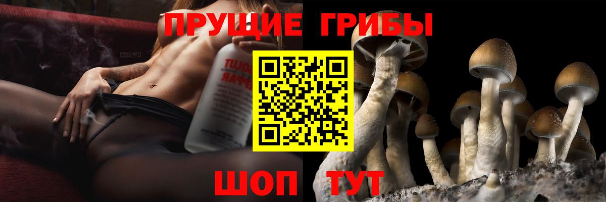 Галлюциногенные грибы мухоморы  Псилоцибиновые грибы Psilocybe  Карасук  Вход с VPN 